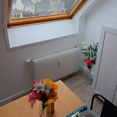 Appartamento équipé En Hyper-centre Avec Parking Privé Et Gratuit - Vue Sur La Et Château De *