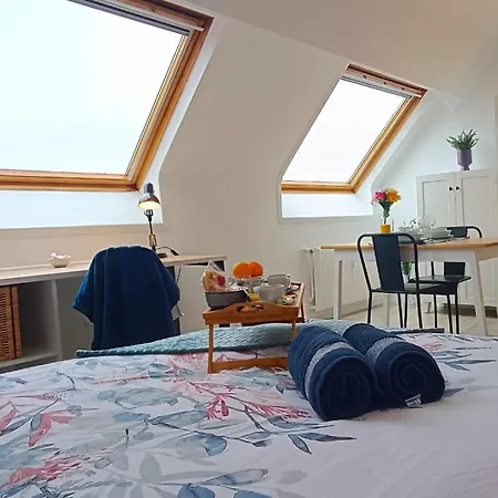 Appartement équipé En Hyper-centre Avec Parking Privé Et Gratuit - Vue Sur La Et Château De