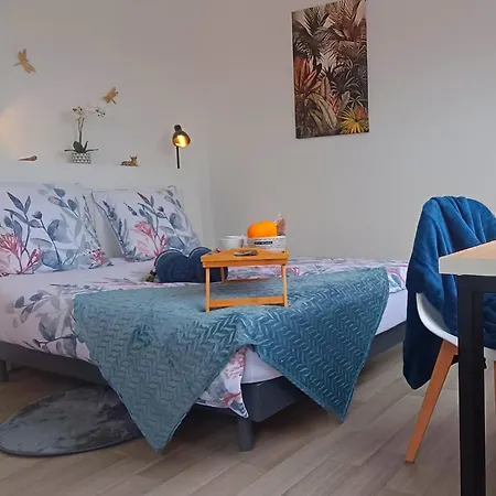 équipé En Hyper-centre Avec Parking Privé Et Gratuit - Vue Sur La Et Château De * Caen