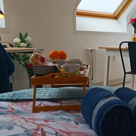 équipé En Hyper-centre Avec Parking Privé Et Gratuit - Vue Sur La Et Château De