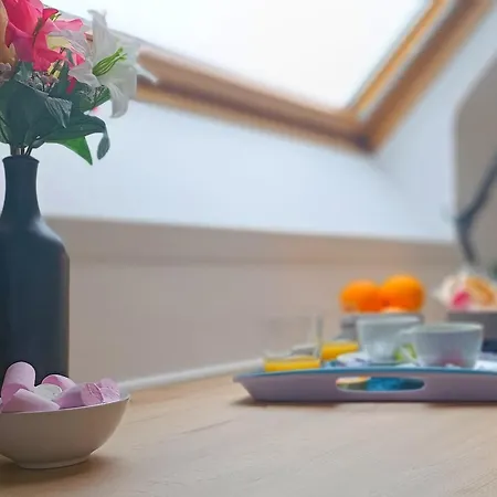 Appartement équipé En Hyper-centre Avec Parking Privé Et Gratuit - Vue Sur La Et Château De