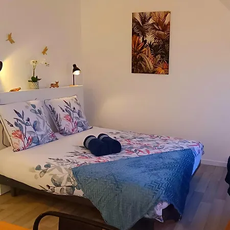 équipé En Hyper-centre Avec Parking Privé Et Gratuit - Vue Sur La Et Château De Appartamento