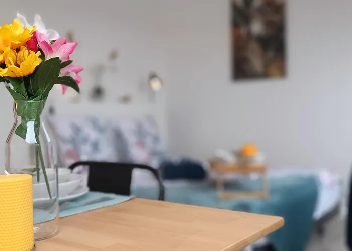 Equipe En Hyper-centre Avec Parking Prive Et Gratuit - Vue Sur La Et Chateau De