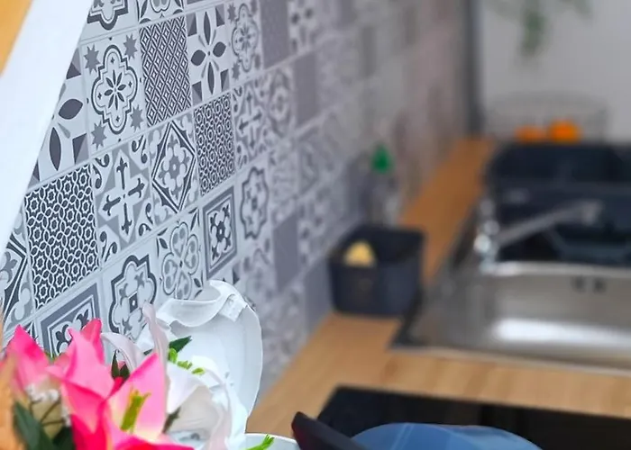 Apartment Equipe En Hyper-centre Avec Parking Prive Et Gratuit - Vue Sur La Et Chateau De