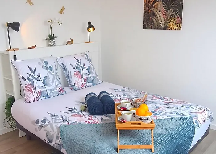 Equipe En Hyper-centre Avec Parking Prive Et Gratuit - Vue Sur La Et Chateau De