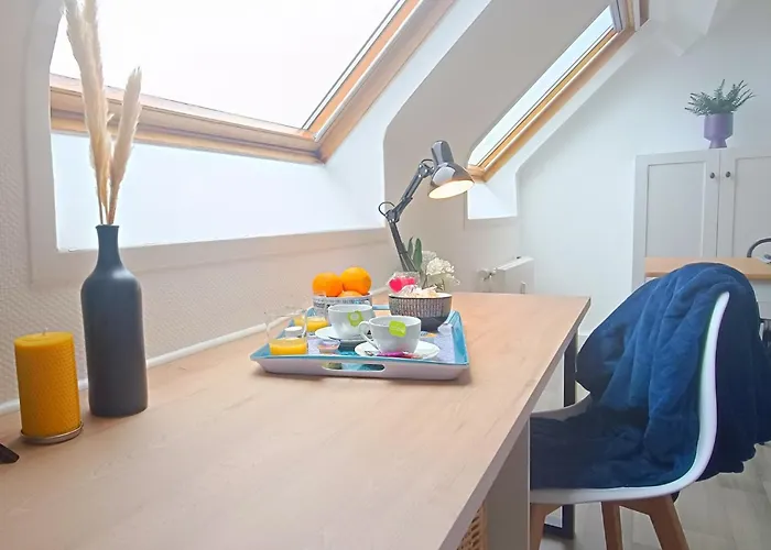 Equipe En Hyper-centre Avec Parking Prive Et Gratuit - Vue Sur La Et Chateau De Apartment *