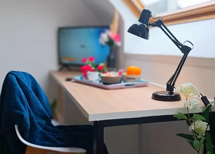 Equipe En Hyper-centre Avec Parking Prive Et Gratuit - Vue Sur La Et Chateau De